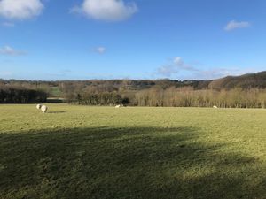 Photo 3- click for photo gallery